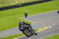 Middle Group Black Bikes